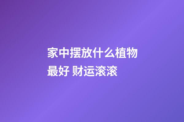 家中摆放什么植物最好 财运滚滚